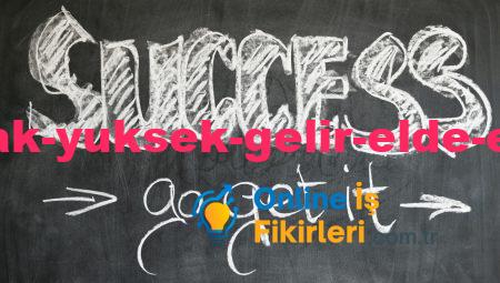 Evden Çalışarak Yüksek Gelir Elde Etme İş Fikirleri