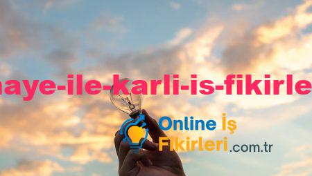 Küçük Sermaye ile Karlı İş Fikirleri Oluşturun