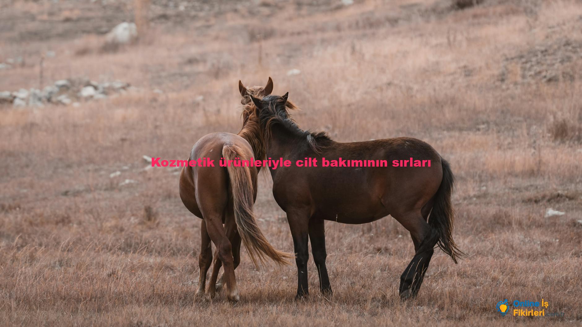 Kozmetik ürünleriyle cilt bakımının sırları