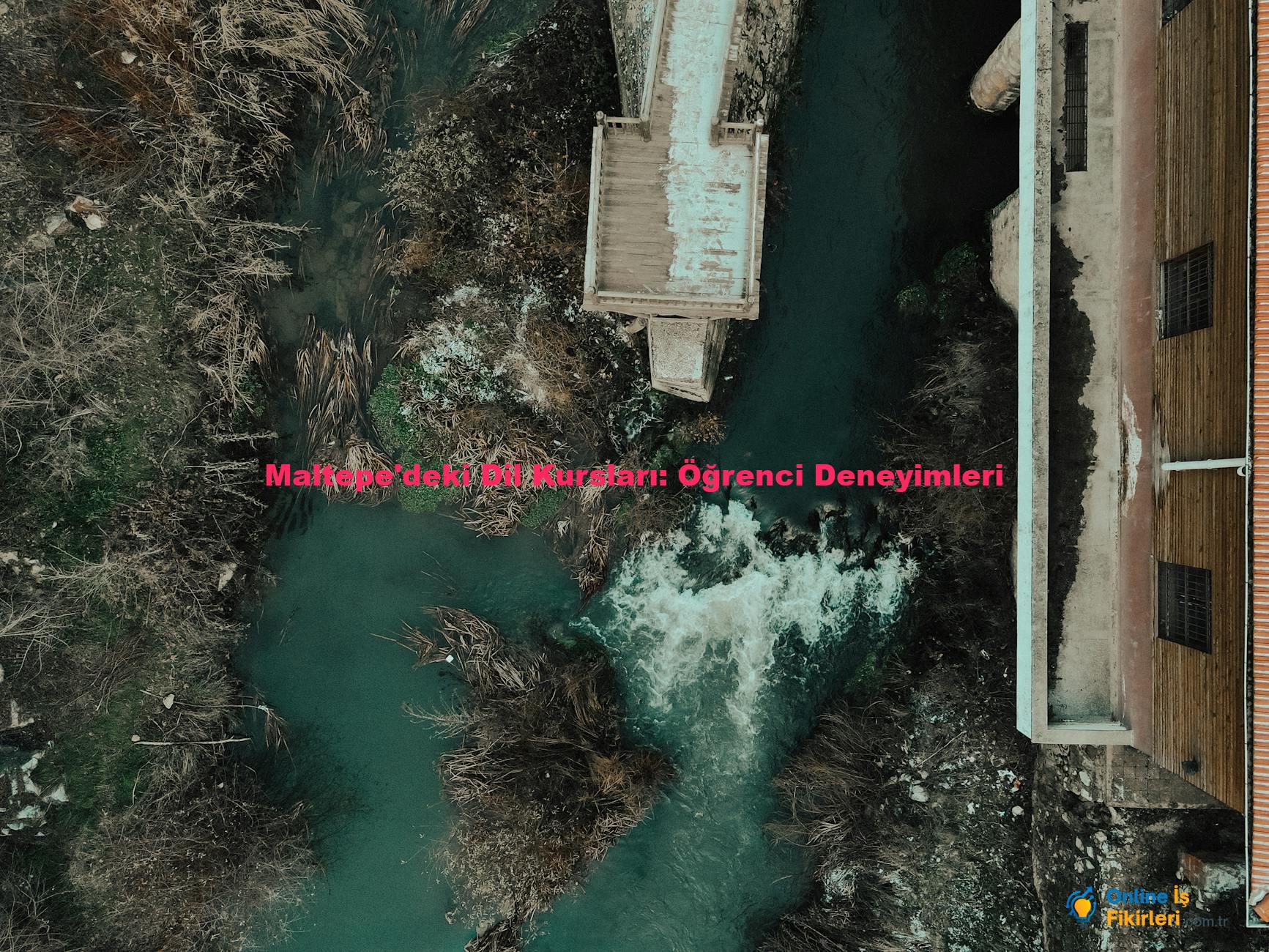 Maltepe'deki Dil Kursları: Öğrenci Deneyimleri