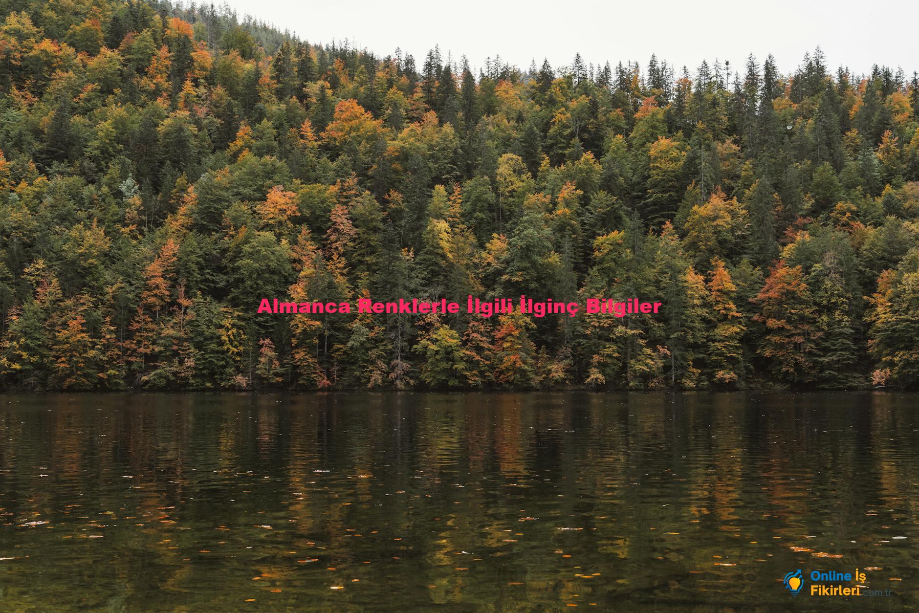 Almanca Renklerle İlgili İlginç Bilgiler