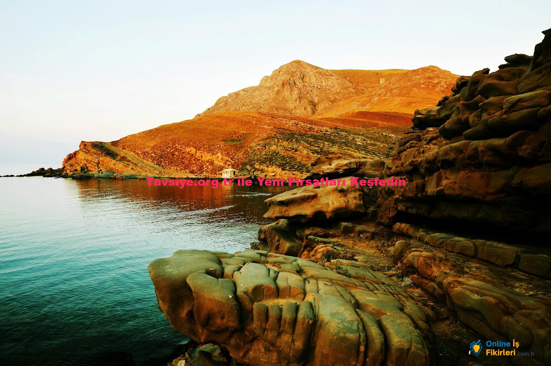 Tavsiye.org.tr ile Yeni Fırsatları Keşfedin