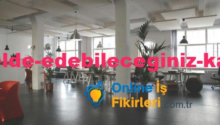 İnternetten Elde Edebileceğiniz Karlı İş Fikirleri