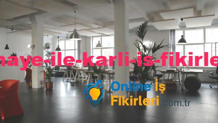 Küçük Sermaye ile Karlı İş Fikirleri Geliştirin