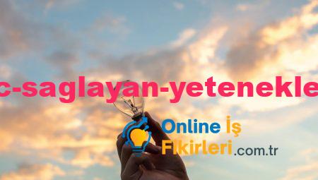 Yüksek Kazanç Sağlayan Yetenekler ile İş Fikirleri