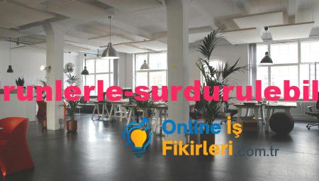 Eko Dostu Ürünlerle Sürdürülebilir İş Fikirleri