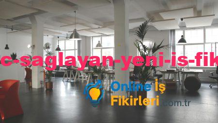 Yüksek Kazanç Sağlayan Yeni İş Fikirleri ile Tanışın