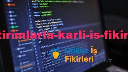 Küçük Yatırımlarla Karlı İş Fikirleri Bulun