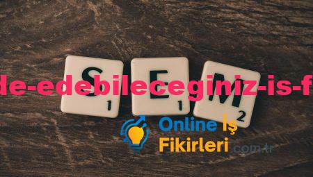 Pasif Gelir Elde Edebileceğiniz İş Fikirleri Sunun