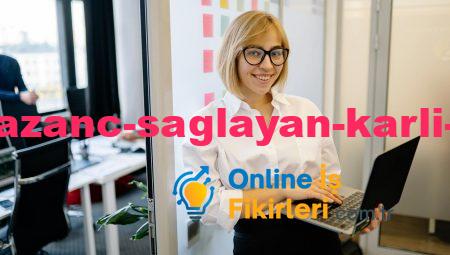 İnternetten Kazanç Sağlayan Karlı İş Fikirleri Geliştirin