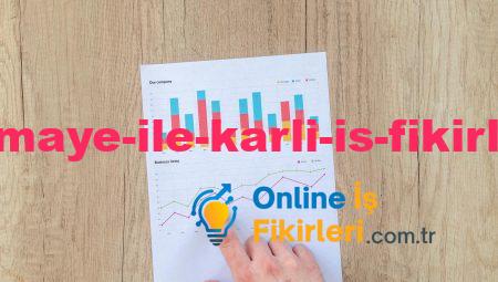 Küçük Sermaye ile Karlı İş Fikirleri Yaratın