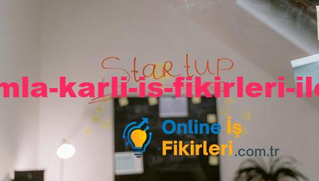 Küçük Yatırımla Karlı İş Fikirleri ile Başarıya Ulaşın